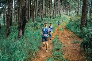 BIB: 
                            <button type="button" onclick="openModal(25664302)" class="btn btn-primary btn-sm float-right btn-popup" data-toggle="modal" data-target=".modal-high-quality">
                        <i class="fas fa-shopping-cart"></i> Add to Cart
                    </button>
                                            <button type="button" onclick="isThisMe(25664302, true)" class="btn btn-success btn-sm float-right btn-popup btn-isme hidden" data-toggle="tooltip" data-placement="bottom" title="นี่คือรูปของคุณใช่ไหม คลิกที่นี่เพื่อเอาเข้าอัลบั้ม">
                        <i class="fas fa-plus"></i> Add to album
                    </button>
                    <button type="button" onclick="isThisMe(25664302, false)" class="btn btn-warning btn-sm float-right btn-popup btn-isnotme hidden">
                        <i class="fas fa-ban"></i> Remove from album
                    </button>